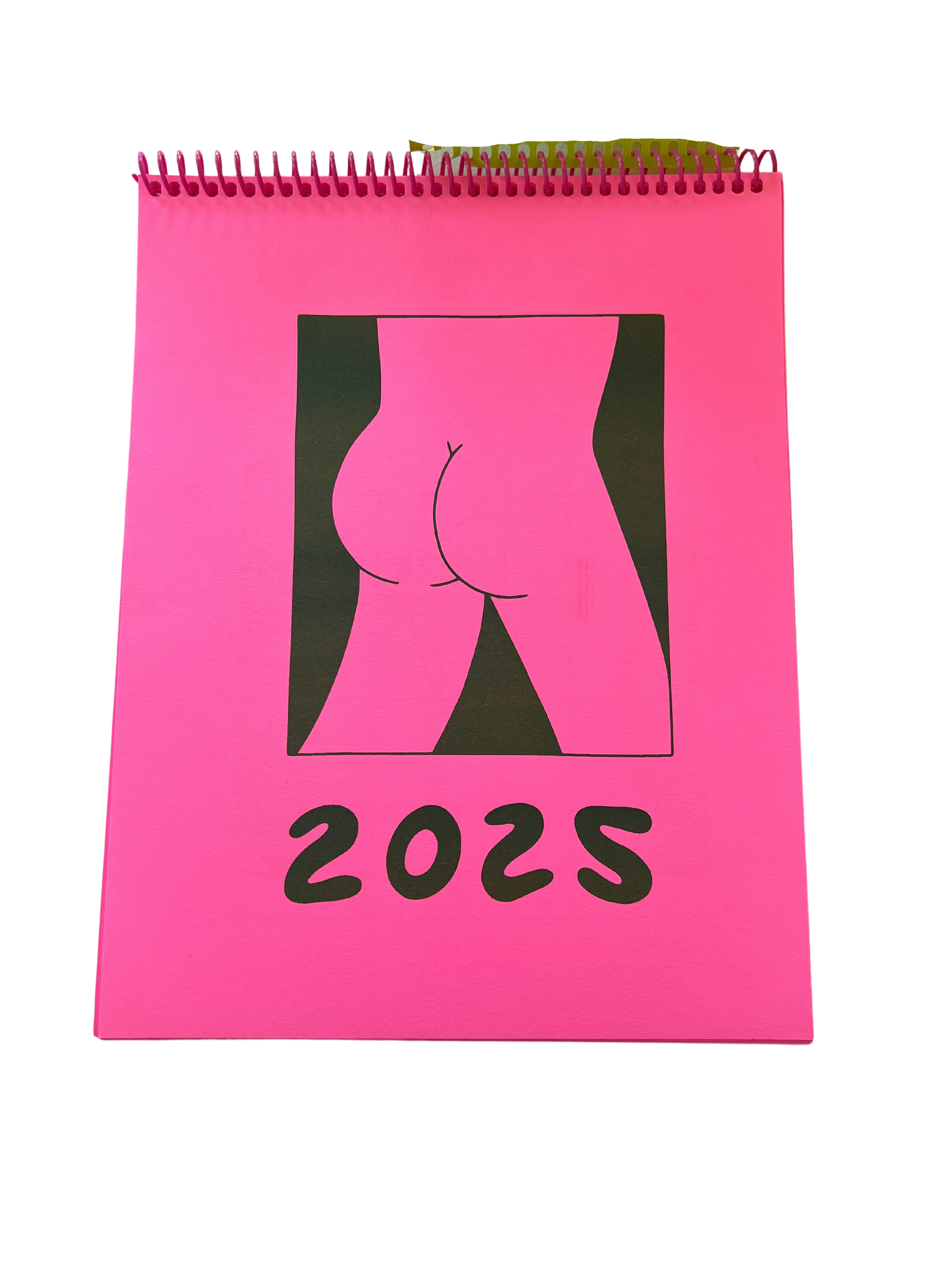 2025 Same Butt Every Month Calendar