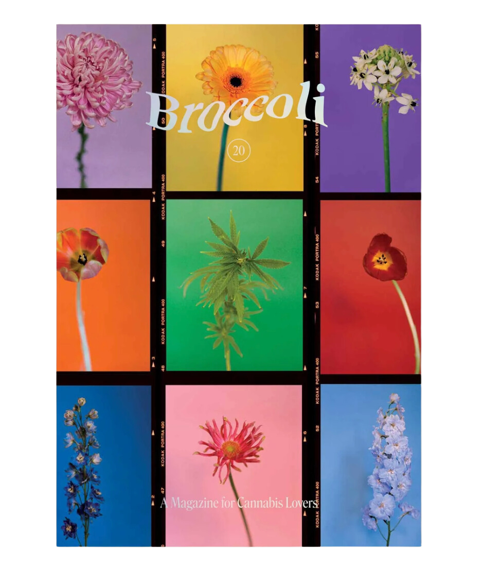 Broccoli Issue 20